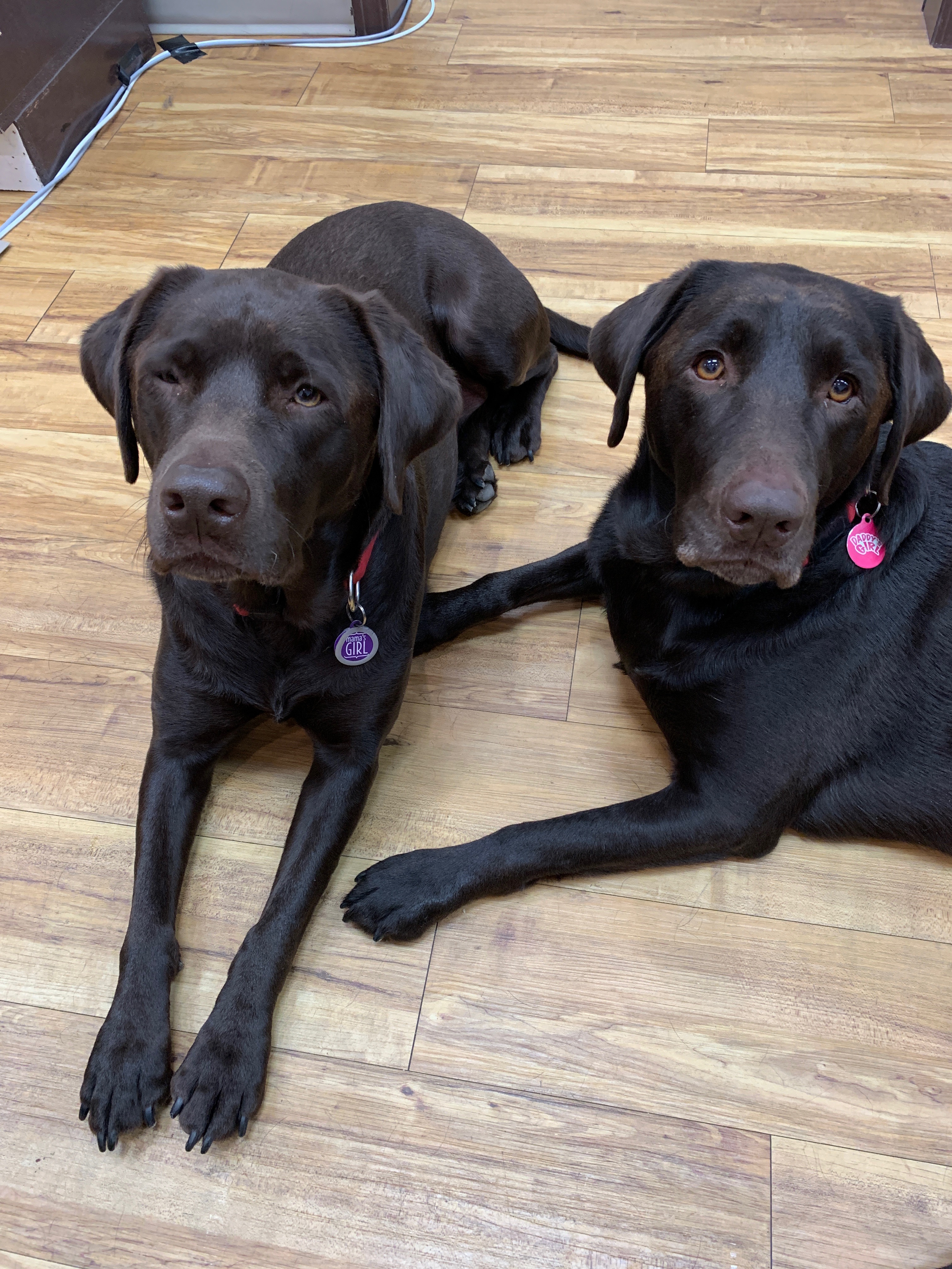 Teka and Sofia, Office Staff